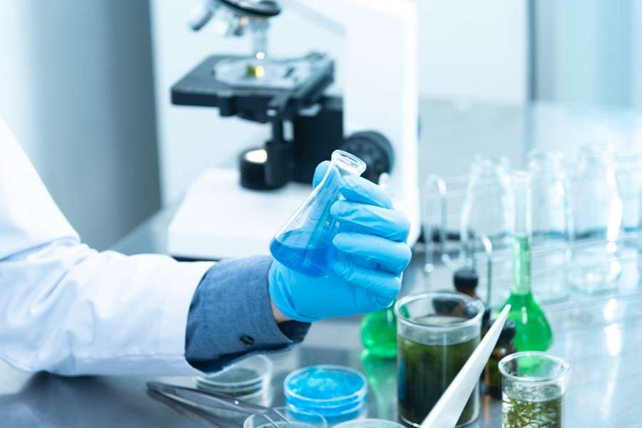 Bilancio delle ricerche universitarie sull'impiego delle microalghe.