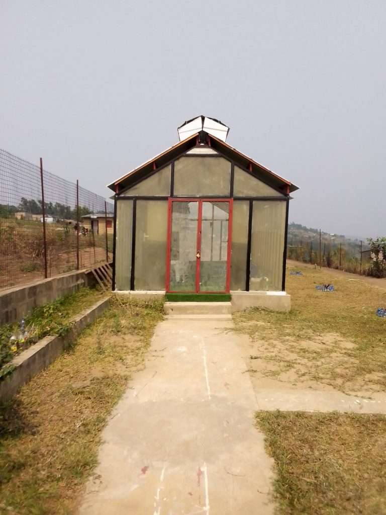 In un ambiente rurale, una piccola serra a forma di A, costruita con un telaio di metallo nero e pannelli di vetro trasparente e appannato, si erge alla fine di un sentiero in cemento che taglia un prato di erba secca e marrone. La porta d'ingresso centrale ha una cornice di un vivace colore rosso brillante. Sulla cresta del tetto è visibile una piccola cupola di ventilazione sferica in metallo. All'interno della serra si intravedono i fotobioreattori per la coltivazione della Spirulina.